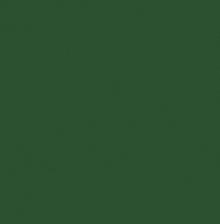 3029 Пацифик 